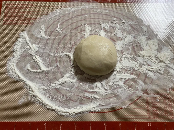 いよいよ生地を練ったりし始めたけどなんかマルゲリータというよりはもち明太みたいな外見になってしまった 
