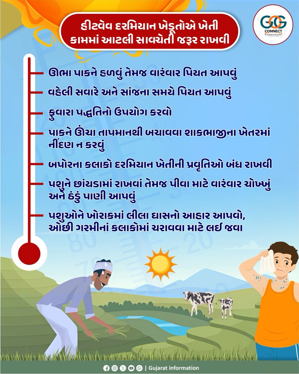 #Summer #Summer2025 #Indiasummer