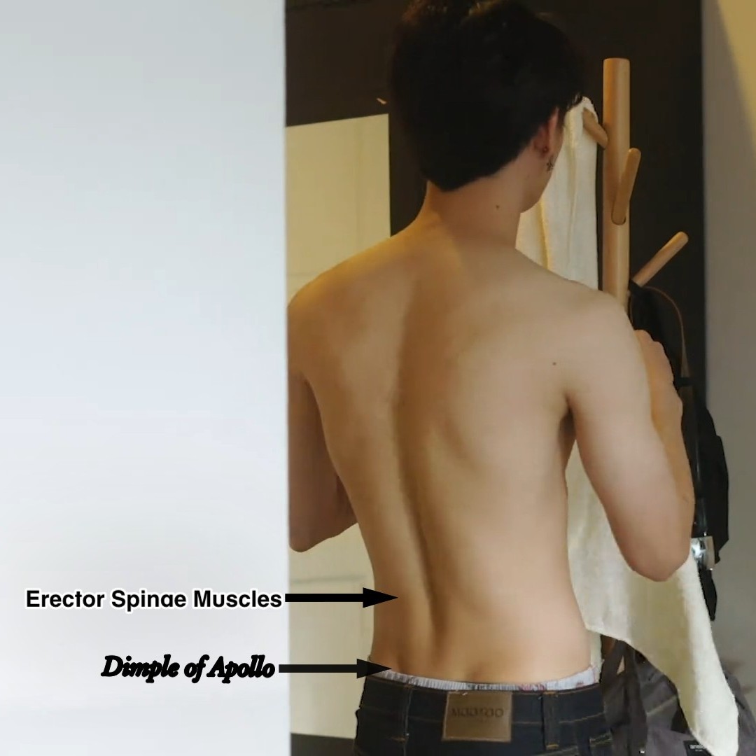 singleserenade's tweet photo. open thread: #ananforscience (or anantomy) where i show you why yin's body is very good to learn anatomy on!
first, we have something called the 'dimple of venus' (or 'dimple of apollo' in men) which is quite rare and is the inspiration of this series✨
#หยิ่นวอร์ #yinyin_anw https://t.co/Pl1FjQhcEQ