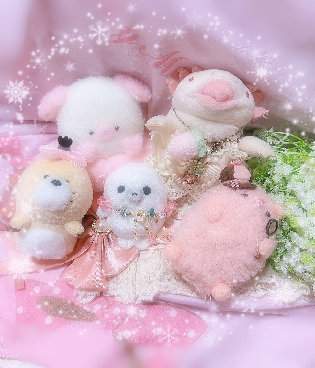 ( *´꒳`*)

 #ぬい撮り