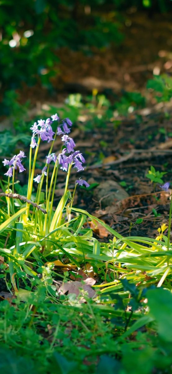 Natural Wisdom Spa tweet media