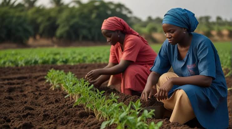 LivestockLens25's tweet image. This is living...
Nothing beat those good old days of following our parents to the farm… Eating fresh corn, fresh fruits, fresh everything! No fertilizer, no chemicals, just vibes &amp;amp; nature! Let’s touch grass again! #FarmLife #BackToTheRoots #OwnAFarm