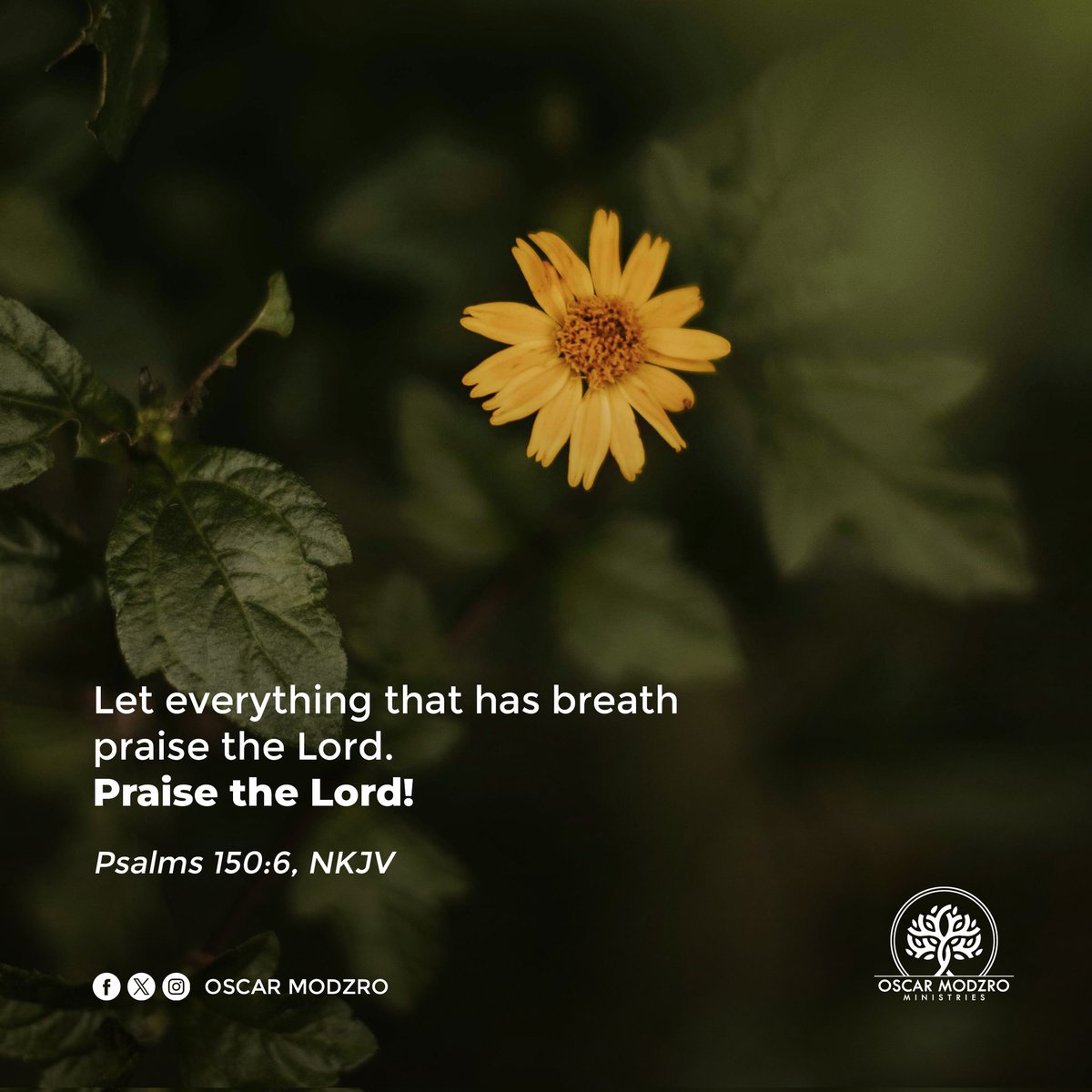 OscarModzro's tweet image. Anytime you praise the Lord, you are declaring that you are alive and full of life. Your praise to the Lord is one of the ways you are sustained. So anytime you feel any part of your life is dying, just praise the Lord over that area and it will be filled with life. Hallelujah!