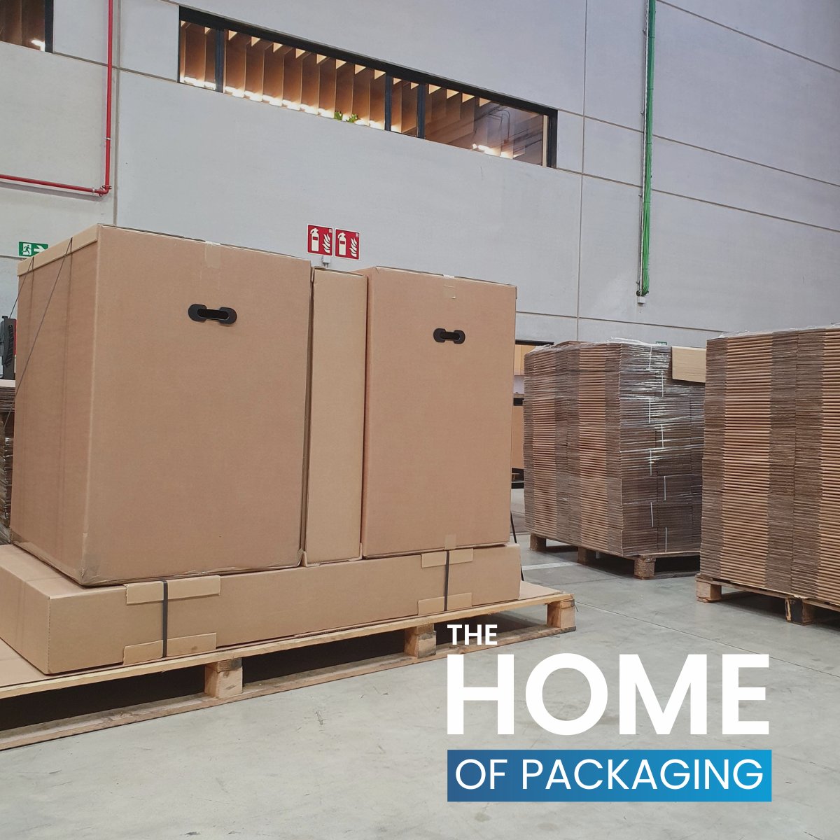 alfilpack's tweet image. ➡️En #Alfilpack diseñamos embalajes adaptados a cada cliente, asegurando #protección y #eficiencialogística. Analizamos el producto, su cadena #logística y creamos prototipos para garantizar resistencia. Personalización, ergonomía y #sostenibilidad para optimizar cada envío.