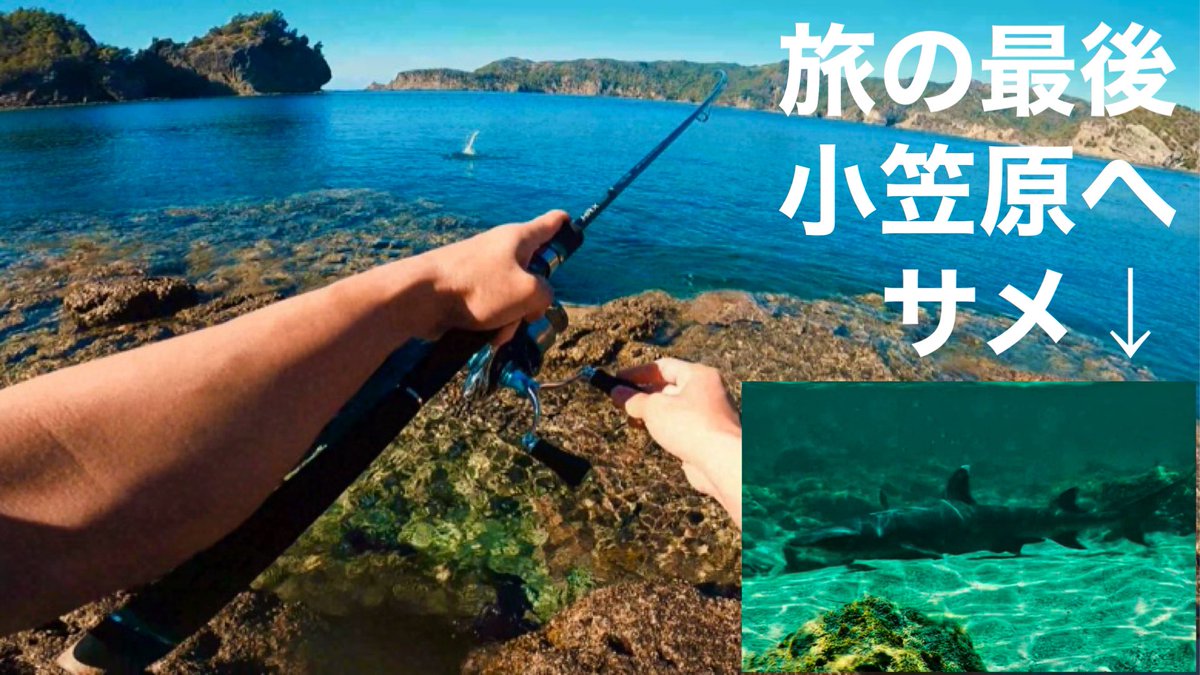bocsankun's tweet photo. 小笠原諸島に行ってきました🙃

https://t.co/ddjAJ2Q9xD https://t.co/MxilMN1hR7