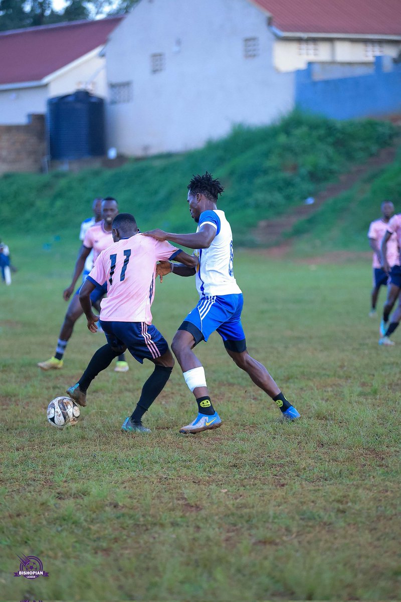 The Pivot tweet media