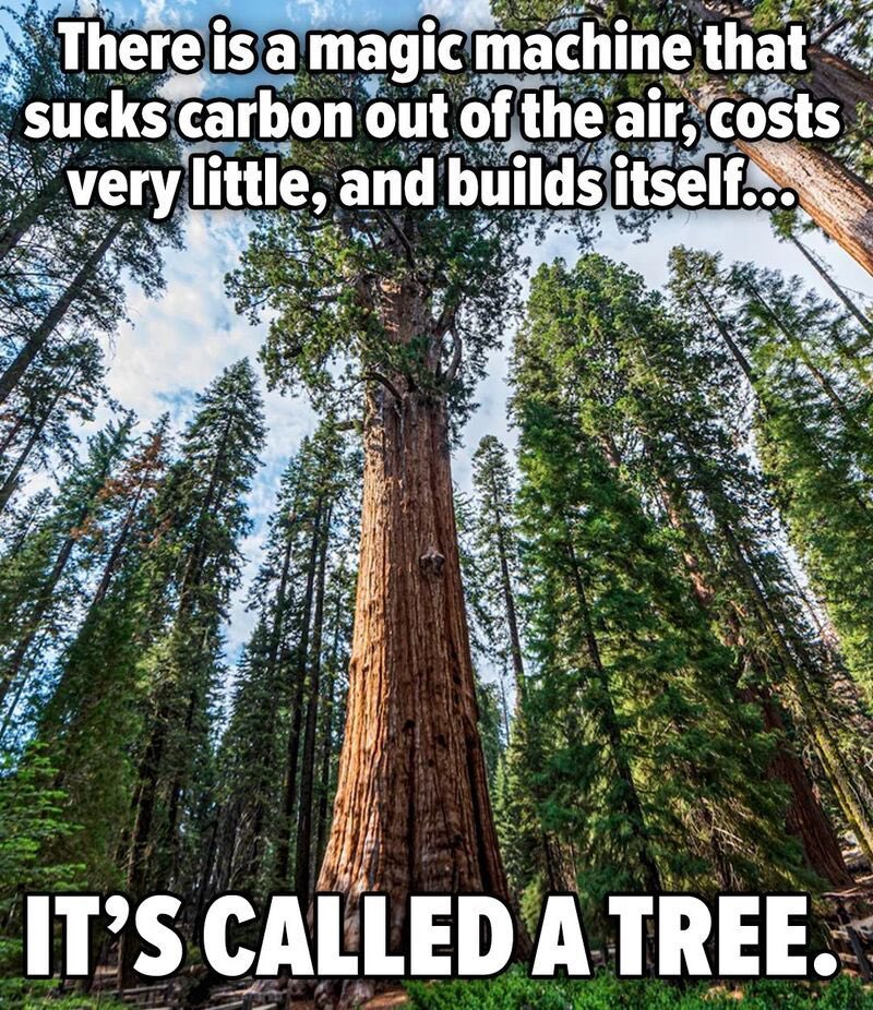 JamesMelville's tweet photo. https://t.co/2QmRmuNPhD