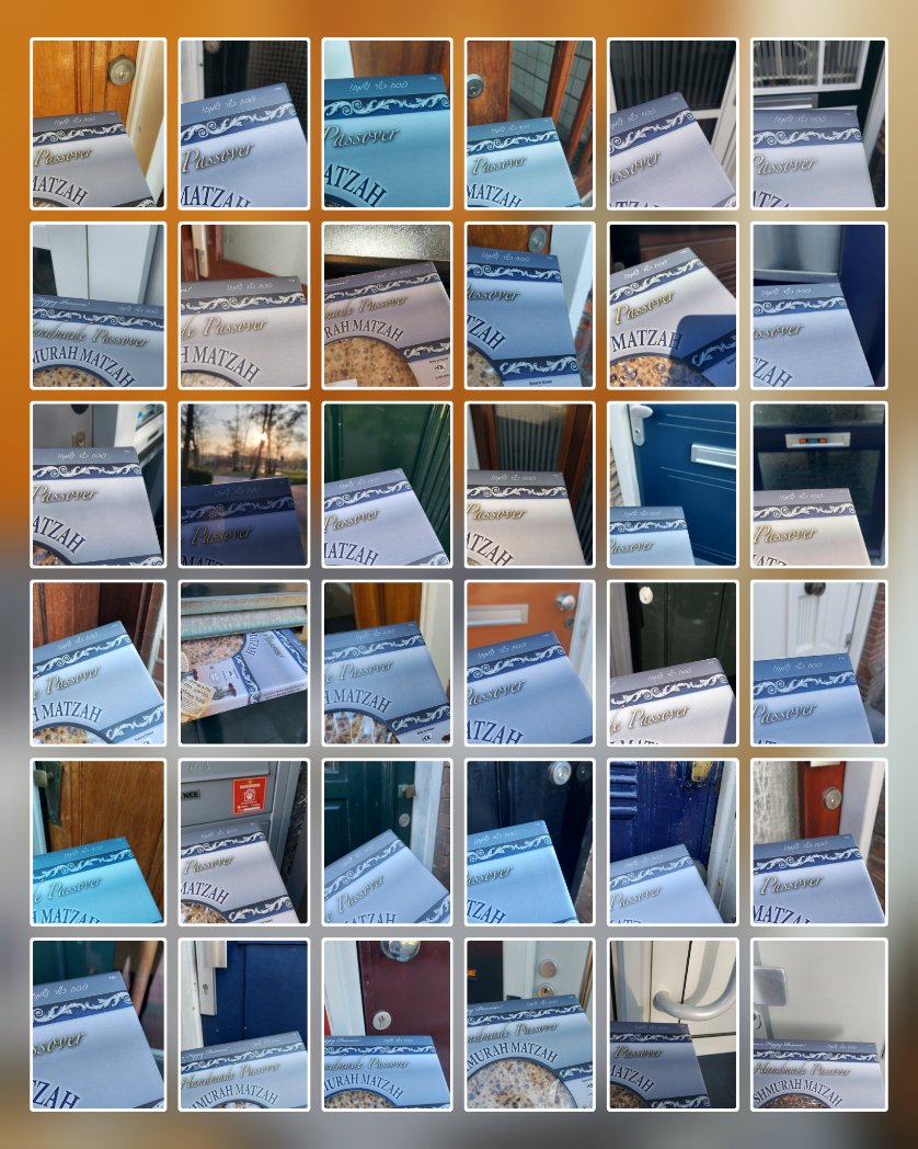 Some 250 households and individuals around The Hague received a shmurah matzah this year.