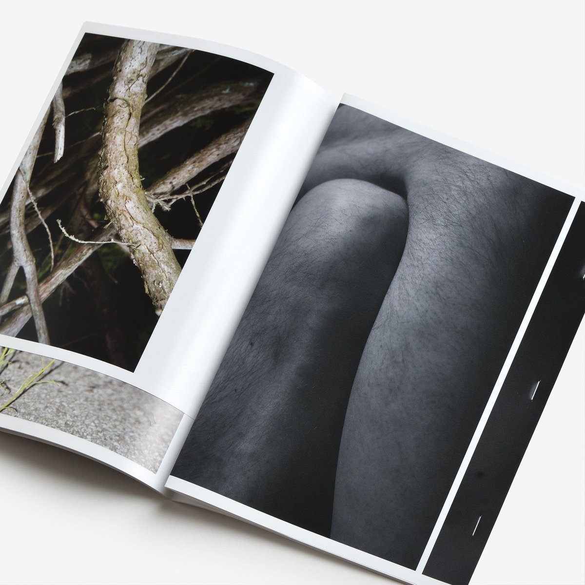 North East tweet media