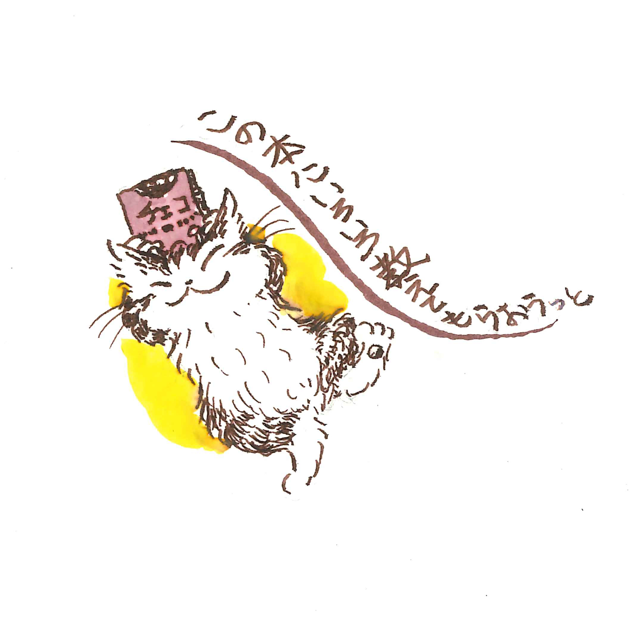 わちふぃーるどふぁん (@wachifield_fan) / X