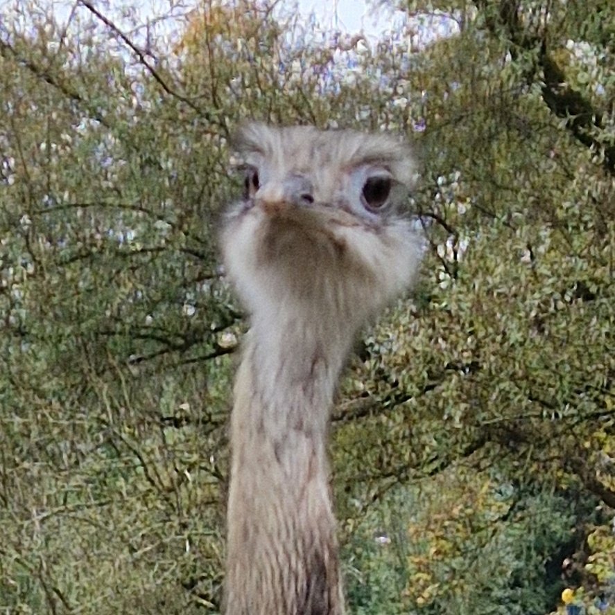 Dierenvriend en natuurliefhebber. tweet media