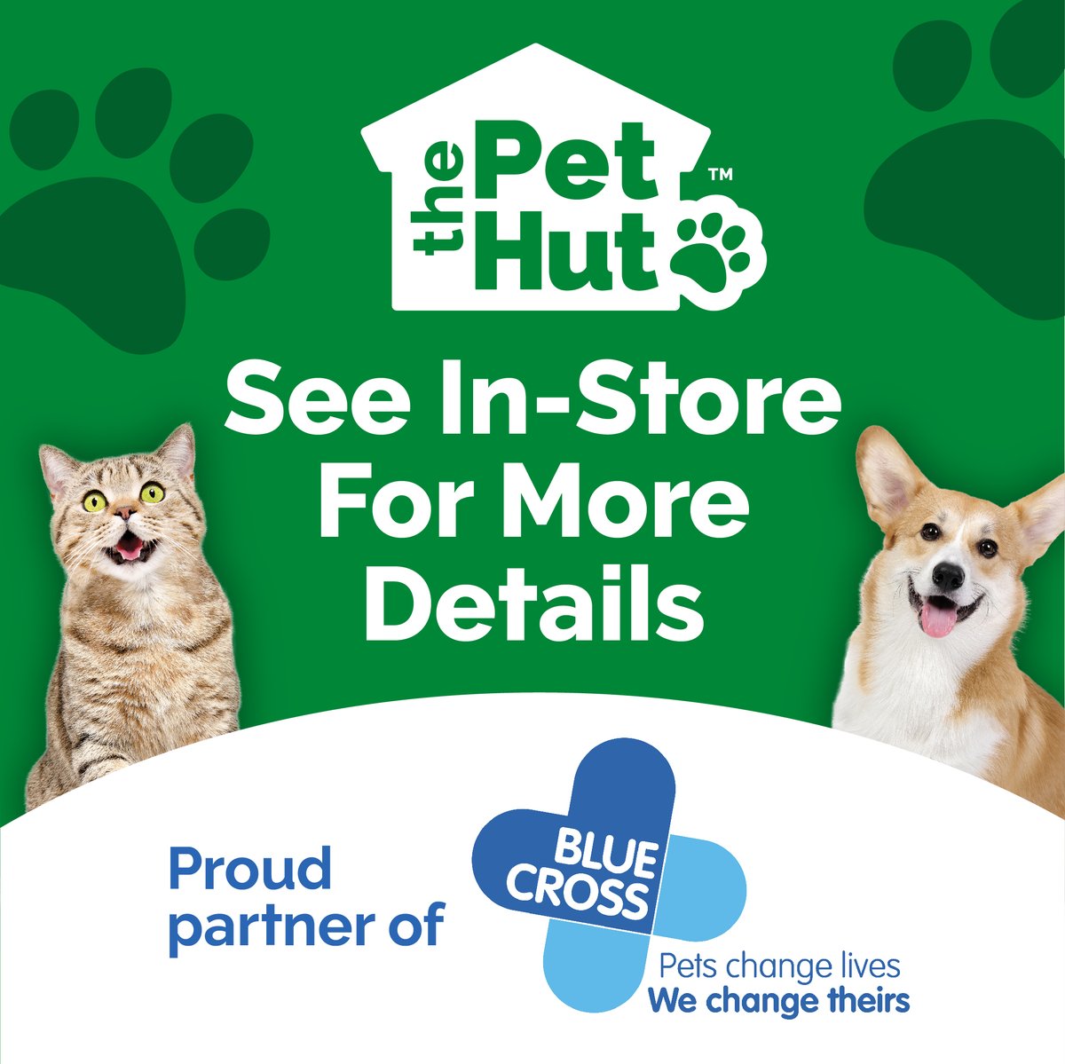 Poundstretcher1's tweet photo. Pet beds fit for our furry friends at your local Poundstretcher &amp; Pet Hut 🛏️  #furryfriends #petbeds #poundstretcher #pethut https://t.co/82IQaKVgIg