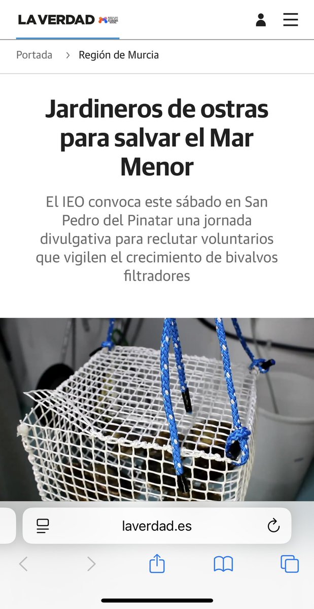 RemediOS 🦪 (@remediosproject) on Twitter photo 🗞️❗️Nuestra Jardinería de Ostras en <a href="/laverdad_es/">laverdad_es</a> 🦪 💙
🌱Organiza la actividad: <a href="/asociacionanse/">Anse (Cuenta inactiva)</a>
🔗 laverdad.es/murcia/jardine… 🌊 🗞️❗️Nuestra Jardinería de Ostras en <a href="/laverdad_es/">laverdad_es</a> 🦪 💙
🌱Organiza la actividad: <a href="/asociacionanse/">Anse (Cuenta inactiva)</a>
🔗 laverdad.es/murcia/jardine… 🌊