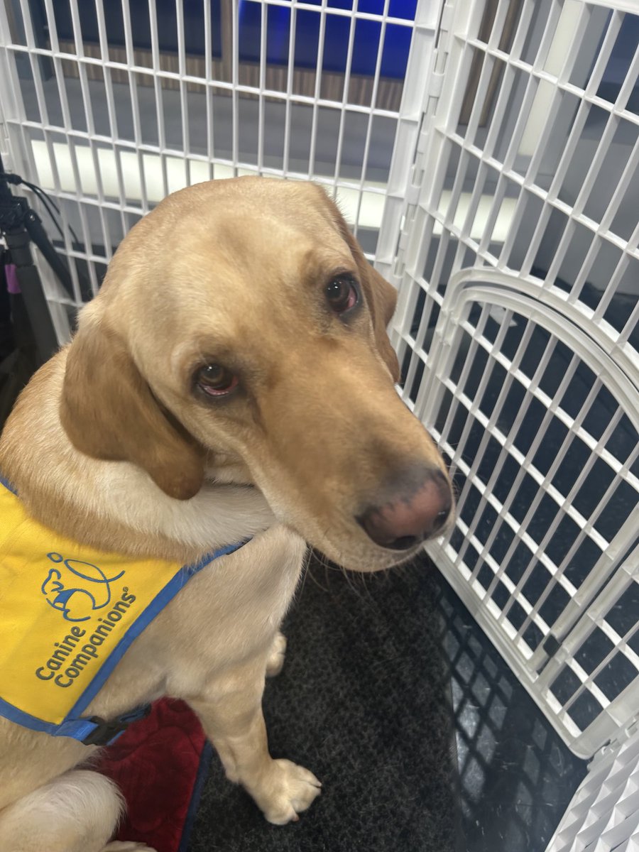 Matt Barnes tweet media