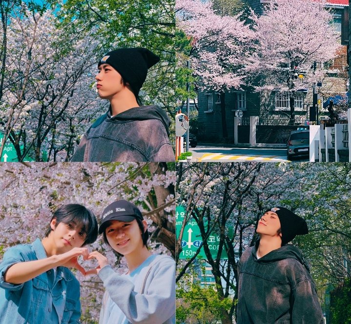 sincerely4ahof's tweet photo. 𝓐𝓷𝓭 𝓳𝓾𝓼𝓽 𝓵𝓲𝓴𝓮 𝓽𝓱𝓪𝓽, 𝓽𝓱𝓮 𝓼𝓹𝓻𝓲𝓷𝓰 𝓱𝓪𝓼 𝓬𝓸𝓶𝓮 𝓪𝓰𝓪𝓲𝓷°❀⋆.ೃ࿔*:･.˚🌿𓍢˖˚🧺🌸𓍢˖˚.....

#AHOF_official #FnF_Prince #DaiWoo https://t.co/4S6pM0R0L9