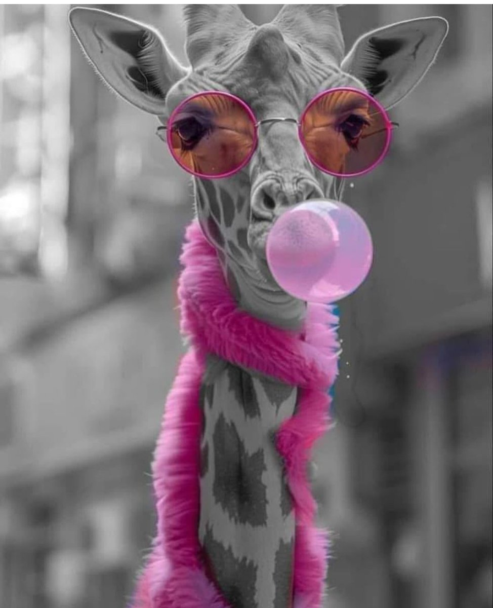 Blondie girl tweet media