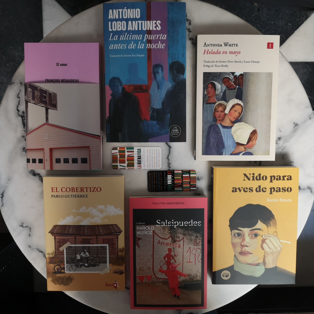 LaBuenaVidaLib's tweet image. ¡Pásate a por tus lecturas para estos días de descanso! Recuerda que abrimos todos los días, también los festivos, de 11 a 14.30 y de 17 a 21 h.

Y también puedes encontrarlos en nuestra tienda online:
f.mtr.cool/rlqbavlebn

#libreríasdemadrid #libreríasindependientes