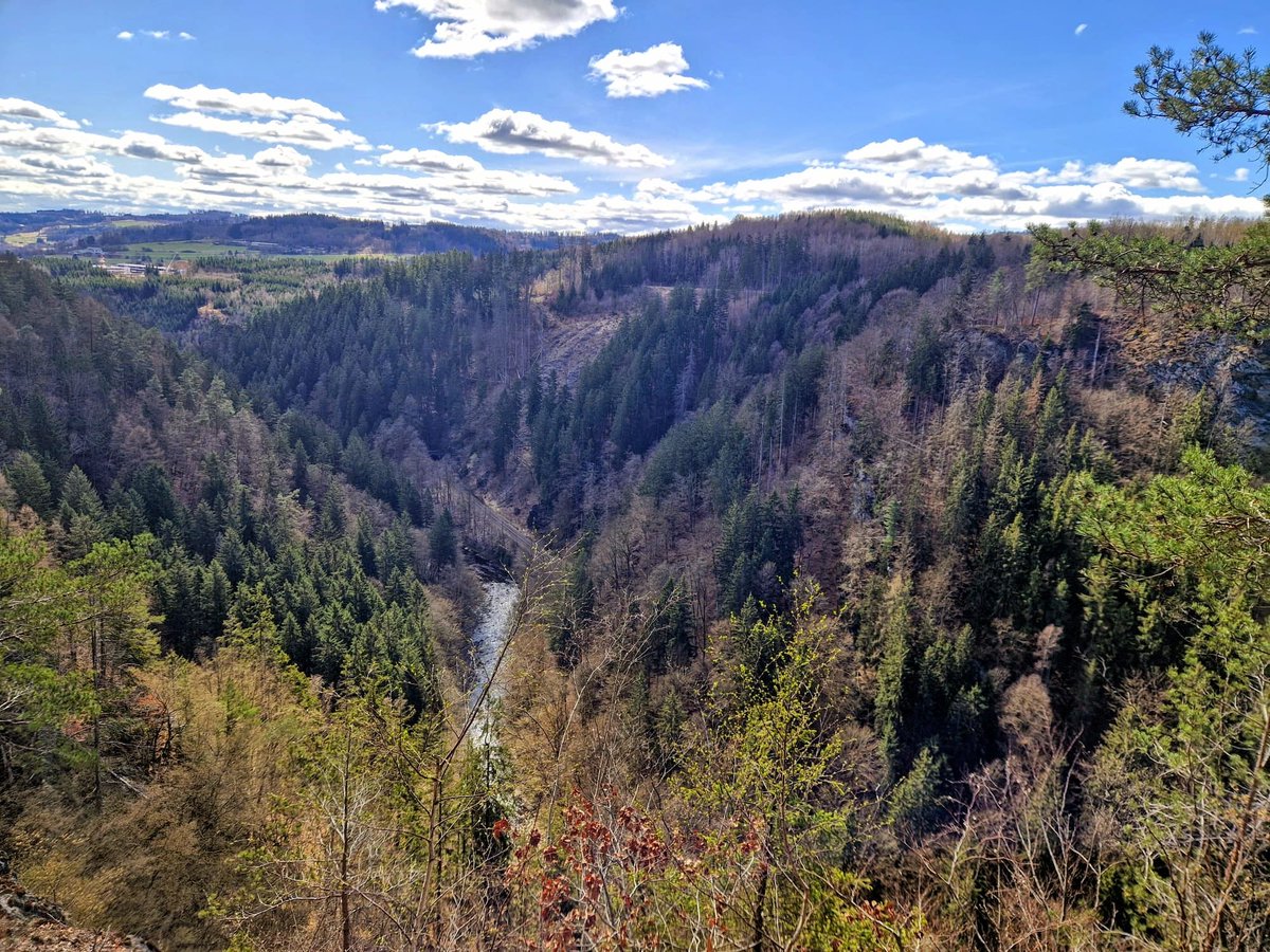Lab_Mracek's tweet photo. We had a fantastic time at the 38th Bioenergetics 2025 meeting in Vysoké nad Jizerou this week. This year’s event featured international guests from the @NenckiInstitute (Polish Academy of Sciences) and from Slovakian universities in Martin, Košice, and Bratislava. https://t.co/aqqhmyd1m5