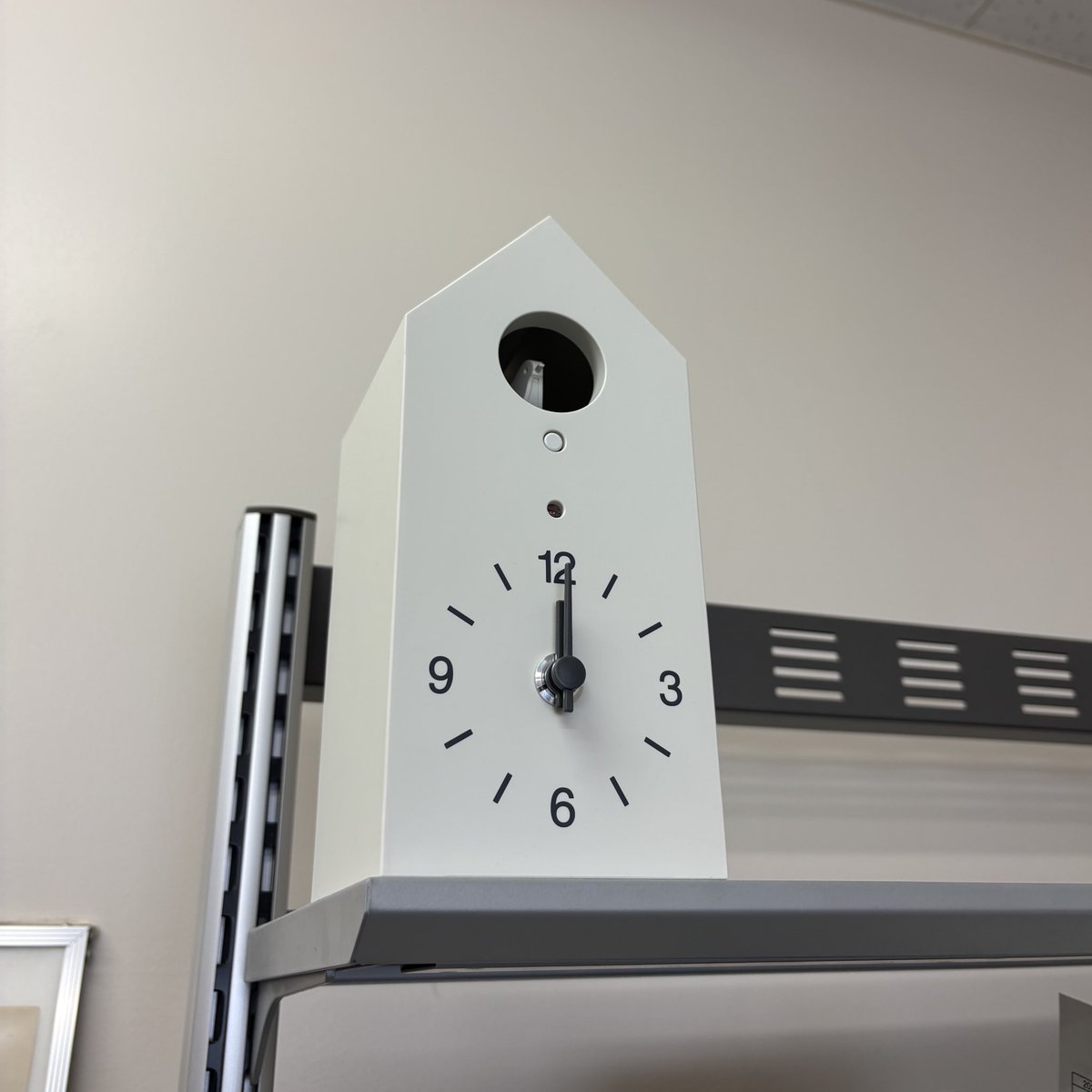 この春から千葉大学人文科学研究院の比較認知研究室に特別研究員として在籍させていただくことになりました！

ハトやネコを主な対象とするラボな（ので鳩時計がある🐦！）のですが、ゾウの空間認知について取り組む予定です🐘

積み残している博士号取得も引き続き頑張ります😭