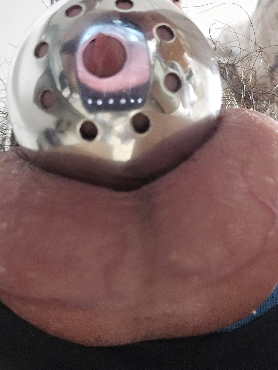 好家伙。。。小狗都怕大风