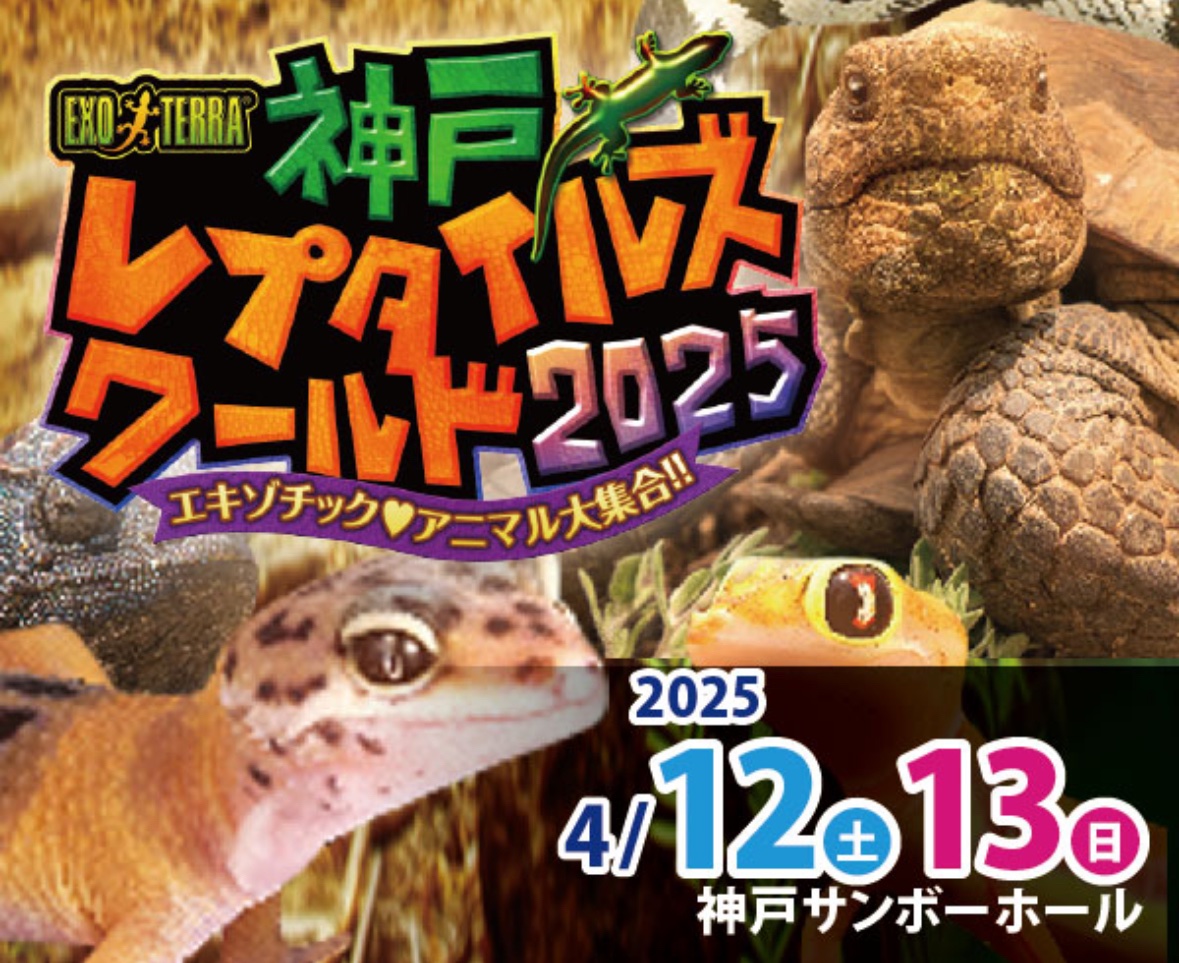 from SCRATCH フロム スクラッチ (@shop_scratch) / Posts / X