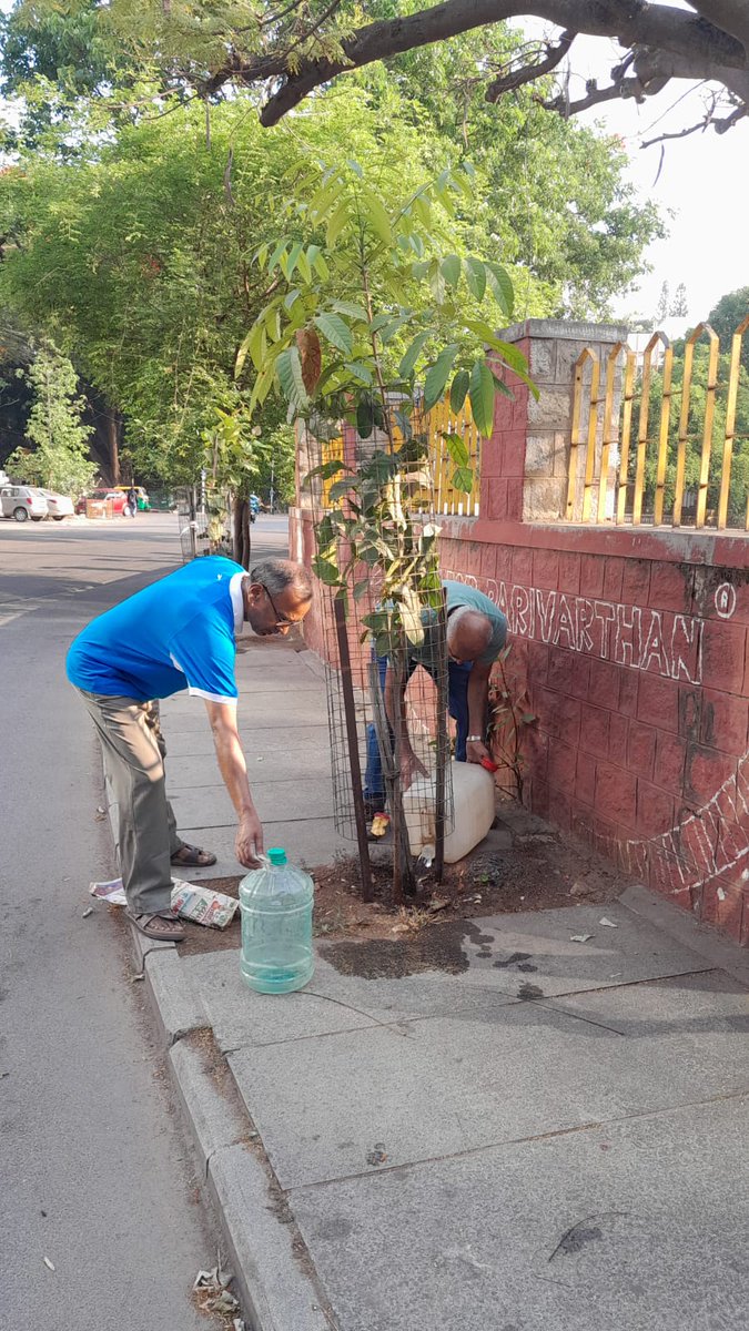 RathaHasiru's tweet photo. Today's maintenance at Arumugam Circle and around Basavanagudi
#HasiruRatha #GreenBangalore #NammaBengaluru #SaveTrees #GoGreen #UrbanForests #CommunityForClimate #SustainableLiving #EveryDropCounts
#ProtectNature https://t.co/38XVCsU4gq