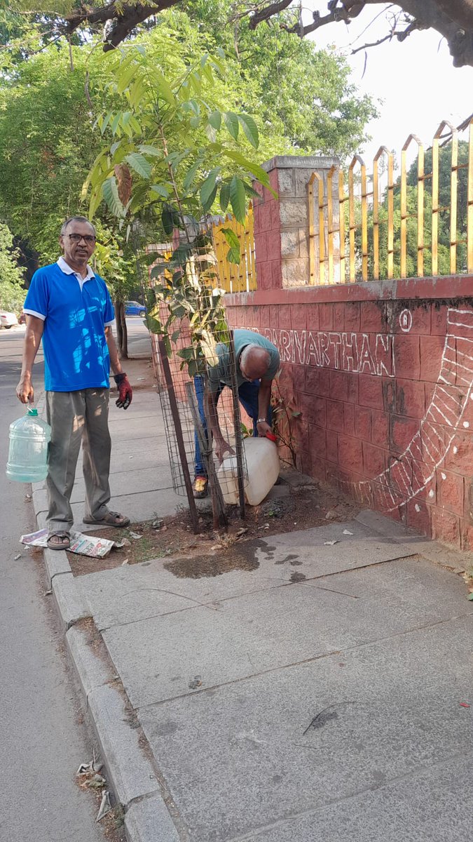 RathaHasiru's tweet photo. Today's maintenance at Arumugam Circle and around Basavanagudi
#HasiruRatha #GreenBangalore #NammaBengaluru #SaveTrees #GoGreen #UrbanForests #CommunityForClimate #SustainableLiving #EveryDropCounts
#ProtectNature https://t.co/38XVCsU4gq
