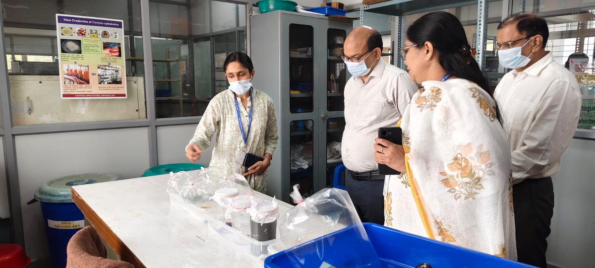 CipmcErnakulam's tweet photo. Honourable Additional commissioner Plant Protection DA&FW Shri.Anand kumar Prabhakar visited CIPMC ERNAKULAM on 11.04.2025 and have seen various biocontrol production labs and appreciated the activities carried out. #biocontrollabvisit #MinistryofAgriculture #dppqs https://t.co/k8D09ErXPc