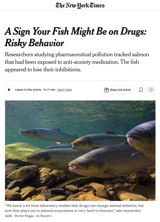 Michael Bertram (@michaelgbertram) on Twitter photo Great to see this piece in <a href="/nytimes/">The New York Times</a> covering our new article in <a href="/ScienceMagazine/">Science Magazine</a> on the impacts of pharmaceutical pollution on salmon migration
👉nytimes.com/2025/04/10/cli…
👉science.org/doi/10.1126/sc…
<a href="/JackAndrewBrand/">Jack Brand</a> <a href="/SLUwildresearch/">SLU Wild Research</a> Great to see this piece in <a href="/nytimes/">The New York Times</a> covering our new article in <a href="/ScienceMagazine/">Science Magazine</a> on the impacts of pharmaceutical pollution on salmon migration
👉nytimes.com/2025/04/10/cli…
👉science.org/doi/10.1126/sc…
<a href="/JackAndrewBrand/">Jack Brand</a> <a href="/SLUwildresearch/">SLU Wild Research</a>