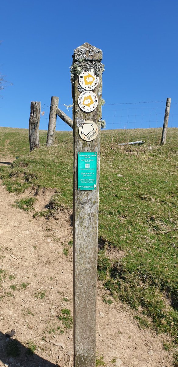 chrisjay tweet media