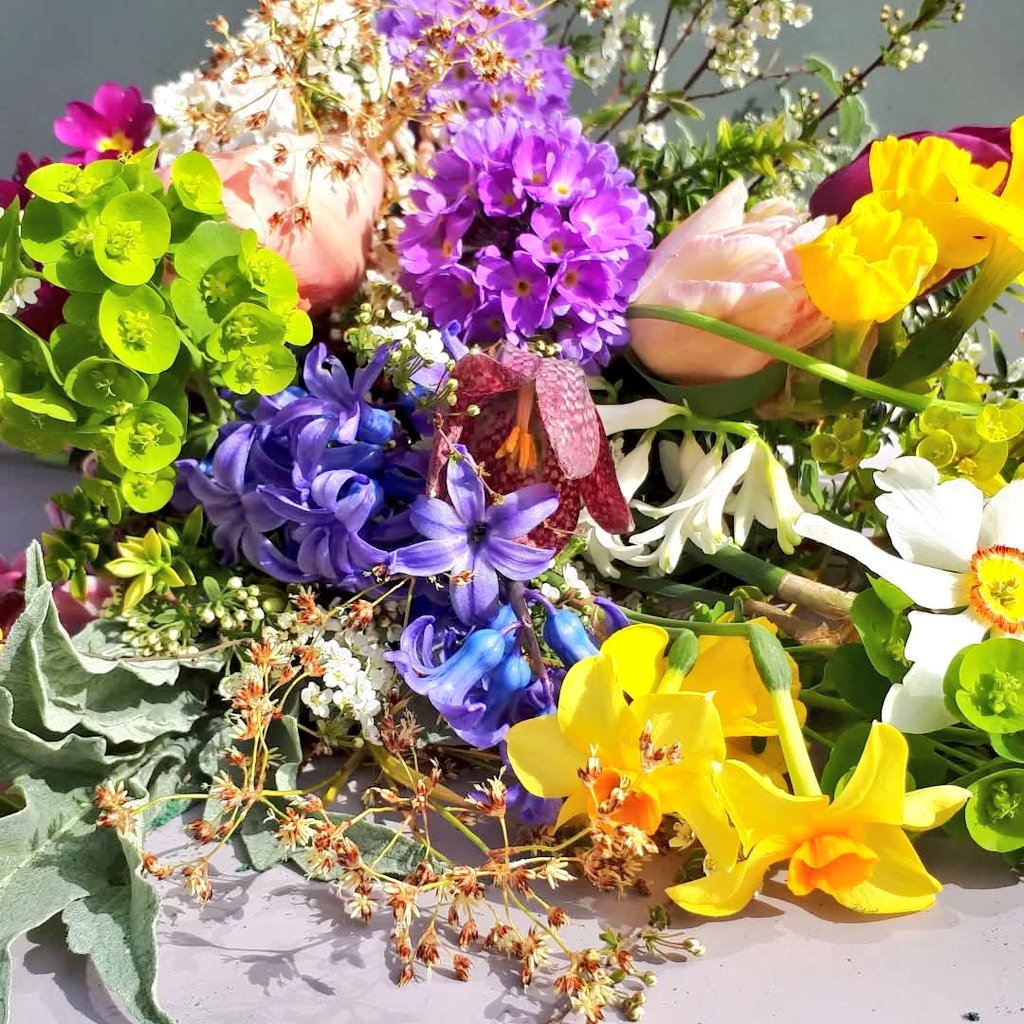 Todays Friday flower fix is from the garden. The sunny days this week have tempted more flowers into bloom. Spring is such a wonderful season power packed with optimism, excitement and energy. Have a great weekend flower folk!

#Friday #flower #fix #gardengathered #Spring