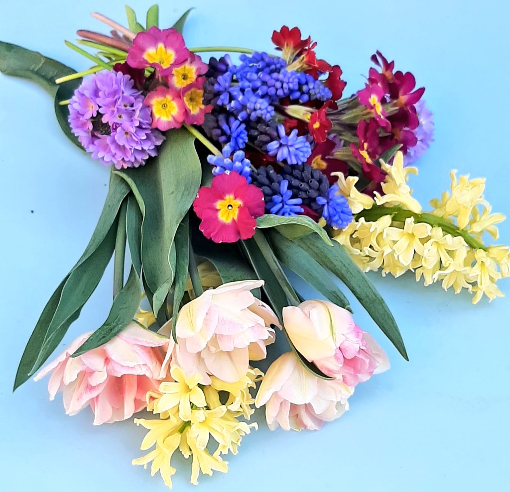 It is so nice to walk into the garden to gather a few flowers to bring indoors for the weekend.  The sunshine really has made everything burst into full bloom and there are so many floral delights to enjoy!

#frommygarden #gardengathered #Spring #flowers #derbyshiregarden