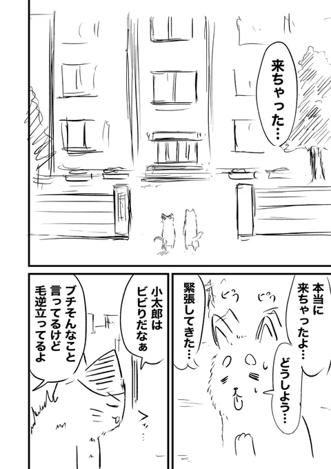 (3/3)『犬又と猫又の一生』がcomic pool様より4月25日に書籍として販売されることが決定しました!
予約受付中ですので何卒よろしくお願いします🙇‍♂️
予約URLはこちらです👇
https://t.co/eldPadcTuD 