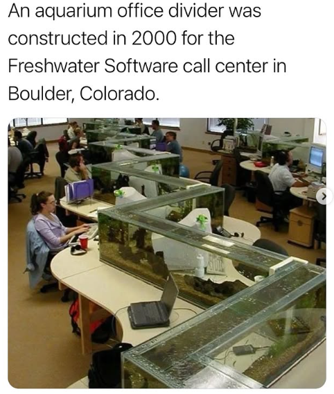 What are some of the strangest things you have seen in a contact centre?

In 2000, Freshwater Software, a now-defunct company based in Boulder, Colorado, implemented a unique office design for their call centre.