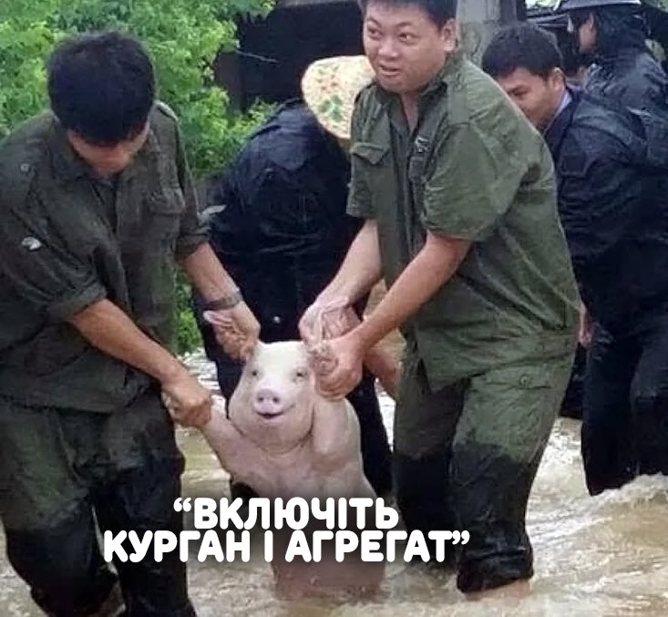 Аврора Мультимаркет tweet media
