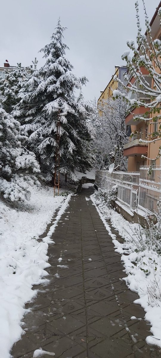cerenchem's tweet photo. Bu da benden 11.04 2025 ankara ☃️🎈 https://t.co/pI1Z4blpne