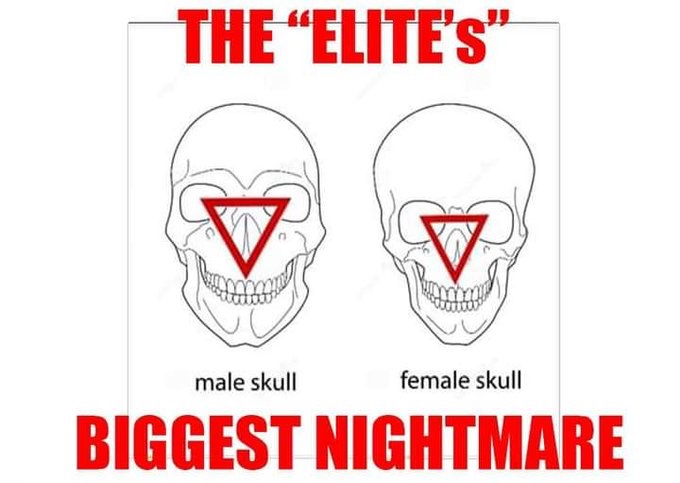 raretruth777's tweet image. TRANS DECEIVER

BarMAN - man code

#transvisibility #transvisibilityday

Skull check.

@RadhikaBarman5