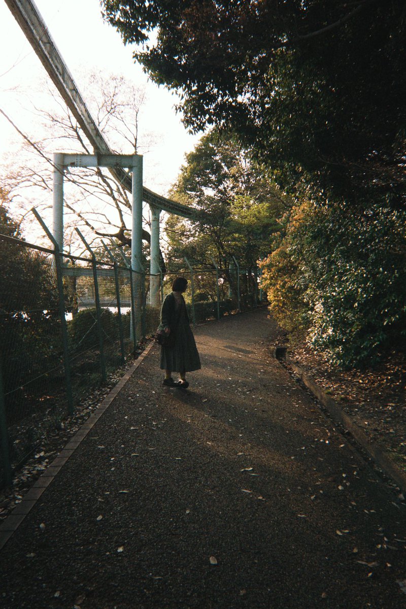 supho_to's tweet image. #dazz