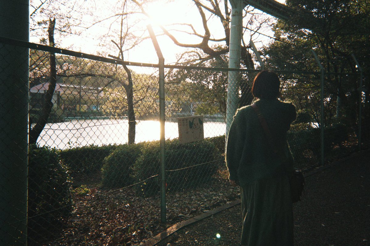 supho_to's tweet image. #dazz