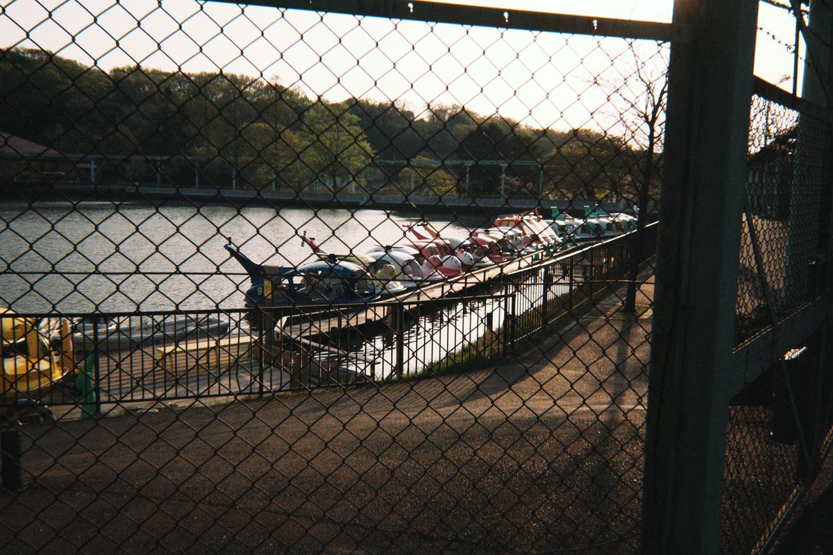 supho_to's tweet image. #dazz