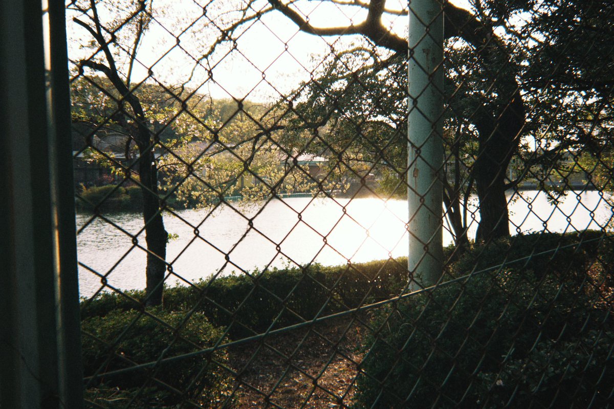 supho_to's tweet image. #dazz