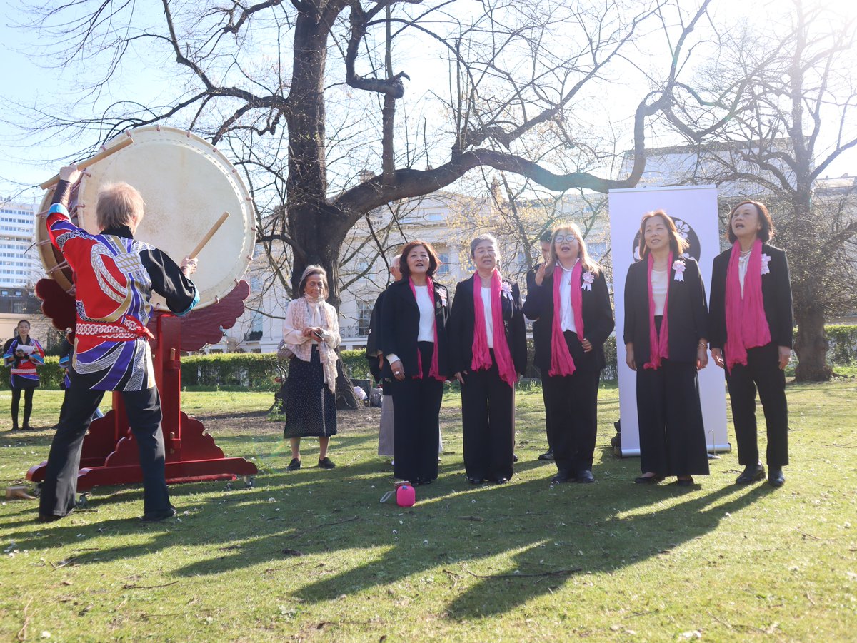Sakura Cherry Tree Project (@japanuksakura) on Twitter photo Yesterday we celebrated Hanami at Regent's Park & <a href="/DaiwaFoundation/">Daiwa Foundation</a>! ๐ธ Joined by <a href="/AmbJapanUK/">Hiroshi Suzuki</a> <a href="/LM_Westminster/">The Lord Mayor of Westminster</a>, we enjoyed Taiko drums, Koto, Shakuhachi & the beautiful singing of 'Sakura Sakura'. We're excited to keep working towards our goal of 10,000 trees across ๐ฌ๐ง!
#Hanamiuk Yesterday we celebrated Hanami at Regent's Park & <a href="/DaiwaFoundation/">Daiwa Foundation</a>! ๐ธ Joined by <a href="/AmbJapanUK/">Hiroshi Suzuki</a> <a href="/LM_Westminster/">The Lord Mayor of Westminster</a>, we enjoyed Taiko drums, Koto, Shakuhachi & the beautiful singing of 'Sakura Sakura'. We're excited to keep working towards our goal of 10,000 trees across ๐ฌ๐ง!
#Hanamiuk
