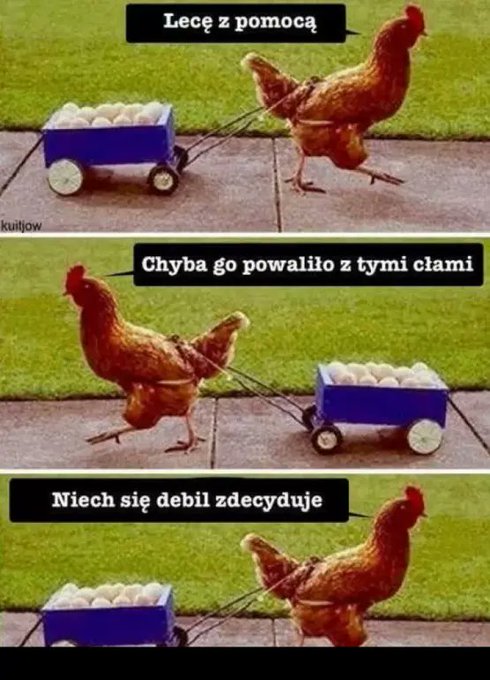 GoPylM4XgAA9B4i?format=jpg&name=small