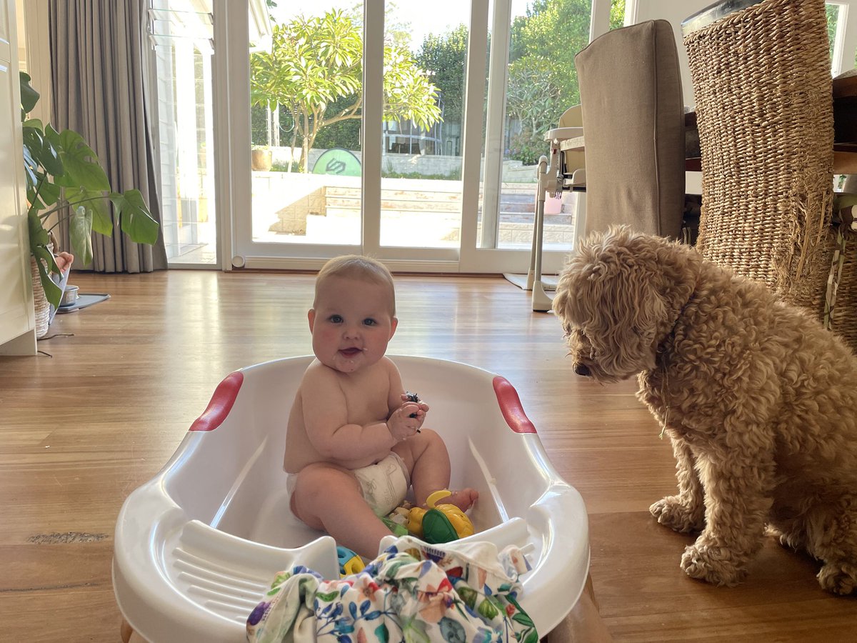 phillandbuddy's tweet photo. Well, I really don’t know if the market goes up / down / sideways / inverse of Uranus sun 

All I know is……. Does it really matter….
All I know is that @elonmusk is having a go… and really…. Thank-you…. Cause this little Bub is more than any market https://t.co/v9xbtWOEEU