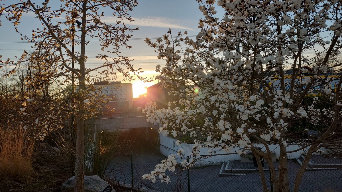 Susann ♡ tweet media