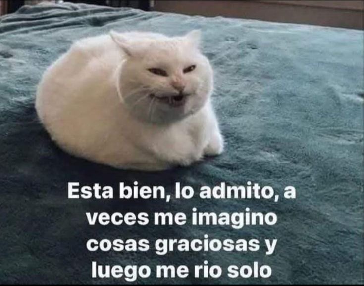 okkkvale 👍 (@okkkvale) on Twitter photo 