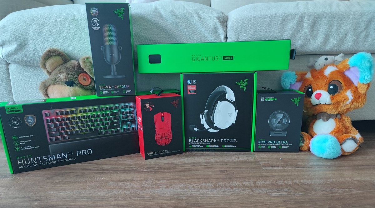Just received a nice package, thanks <a href="/TeamRazer/">Team RΛZΞR</a> &amp; <a href="/SparkR6S/">Martin</a>

No more excuses If I feed 🤨