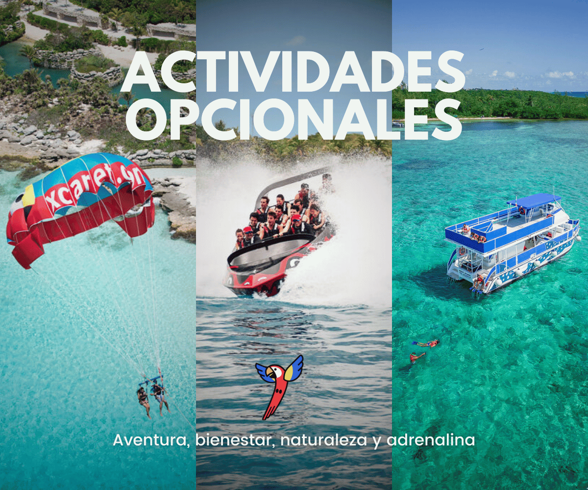 XcaretPark's tweet photo. Cada rincón de Xcaret es una experiencia... ¡y tú decides cómo vivirla! Descubre las actividades opcionales que harán tu día aún más especial. 
Lee el siguiente #BlogXcaret 😎 🗞️
https://t.co/228N6gR6Jx https://t.co/Bj0bWuzu5Y