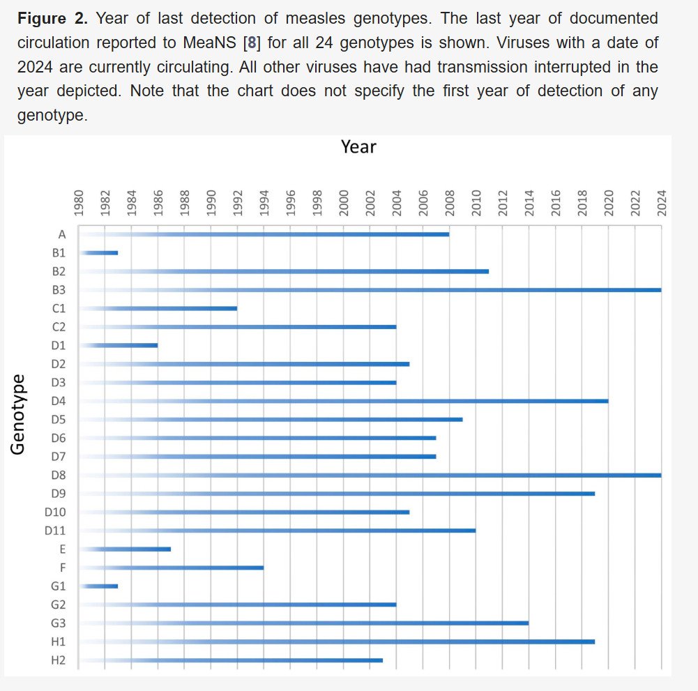Encouraging news about #measles:  
the variety of the virus has decreased significantly over the last 30 years: since 2021, only two genotypes, B3 and D8, have been detected
mdpi.com/2076-393X/12/7…
The measles virus could be eradicated if we succeed in vaccinating humanity.