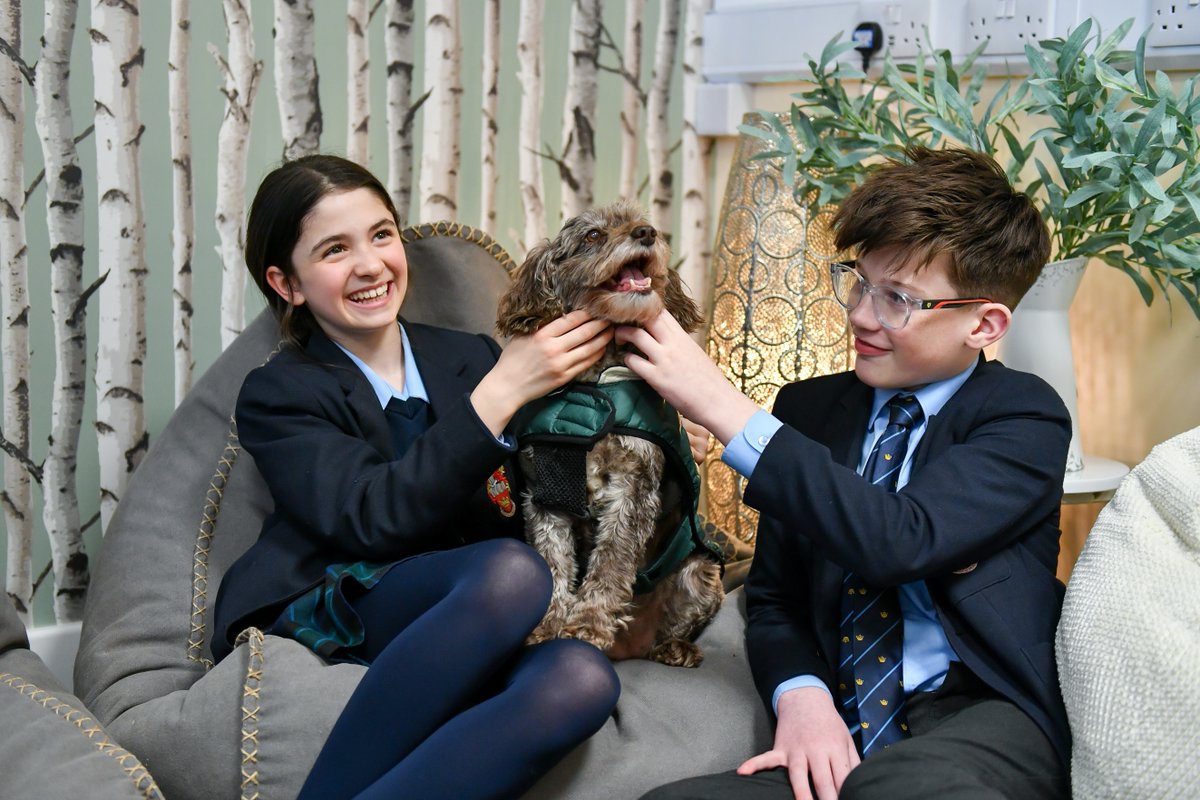RGS Worcester (@rgsworcester) on Twitter photo ๐พ Happy #NationalPetDay from all of us at RGS Worcester โ especially Meg, our much-loved <a href="/PetsAsTherapyUK/">Pets As Therapy</a> dog! ๐ถ๐
Meg brings calm, smiles, and a gentle paw to our school community โ supporting wellbeing across every year group.
#RGSWorcesterย #TherapyDog #MentalHealthMatters ๐พ Happy #NationalPetDay from all of us at RGS Worcester โ especially Meg, our much-loved <a href="/PetsAsTherapyUK/">Pets As Therapy</a> dog! ๐ถ๐
Meg brings calm, smiles, and a gentle paw to our school community โ supporting wellbeing across every year group.
#RGSWorcesterย #TherapyDog #MentalHealthMatters